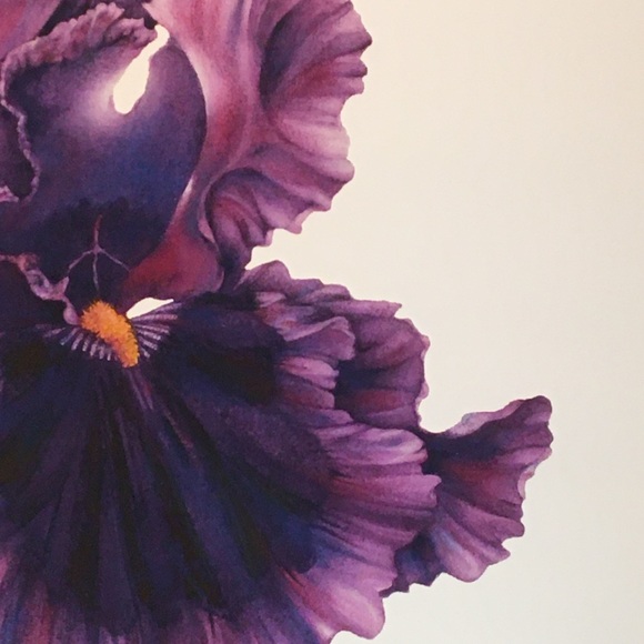 PAGAN DANCE BEARDED IRIS Giclee print on premium paper - Picture 2 of 6